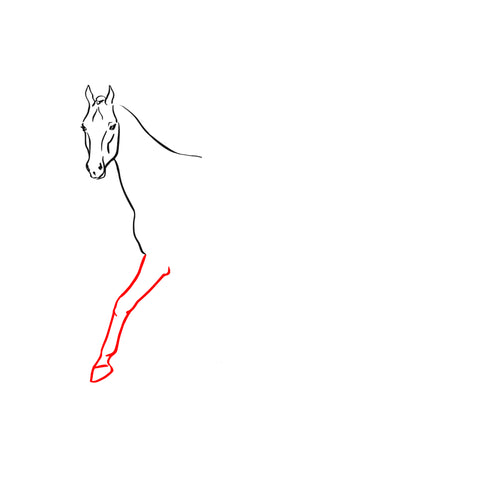 horse-leg