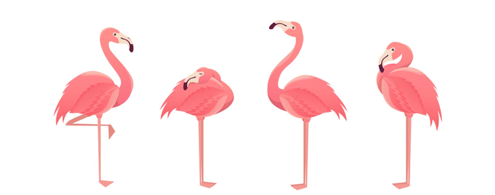 flamingo-anime