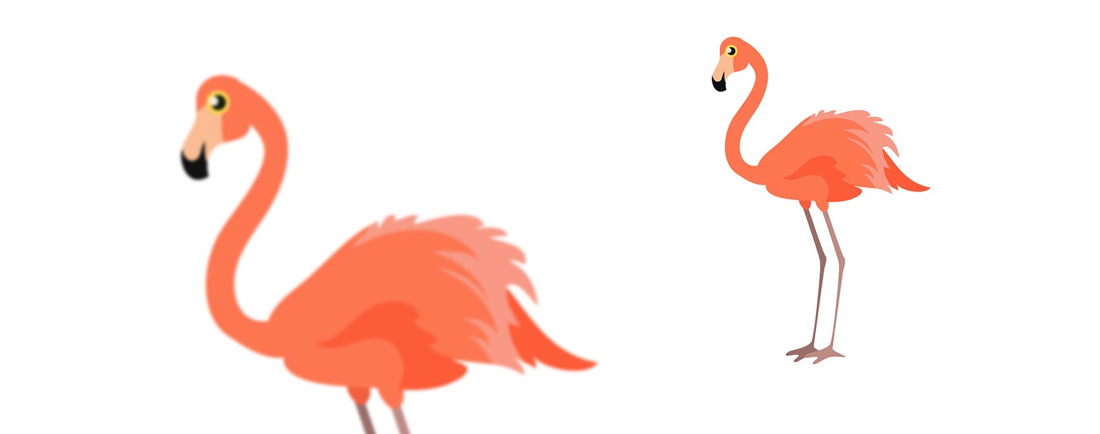 flamingo-realistic-drawing