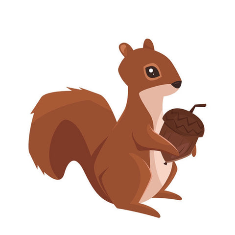 draw-squirrel-12-step12