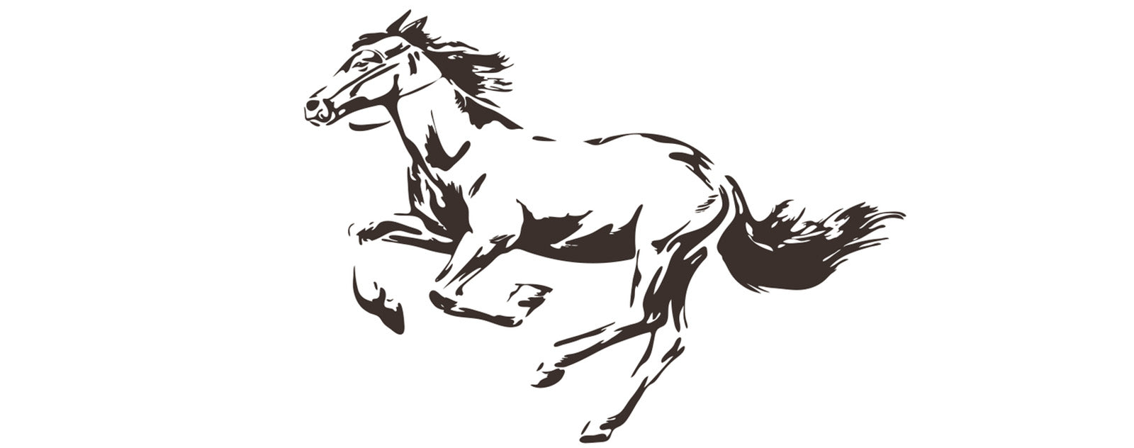 body-drawing-horse