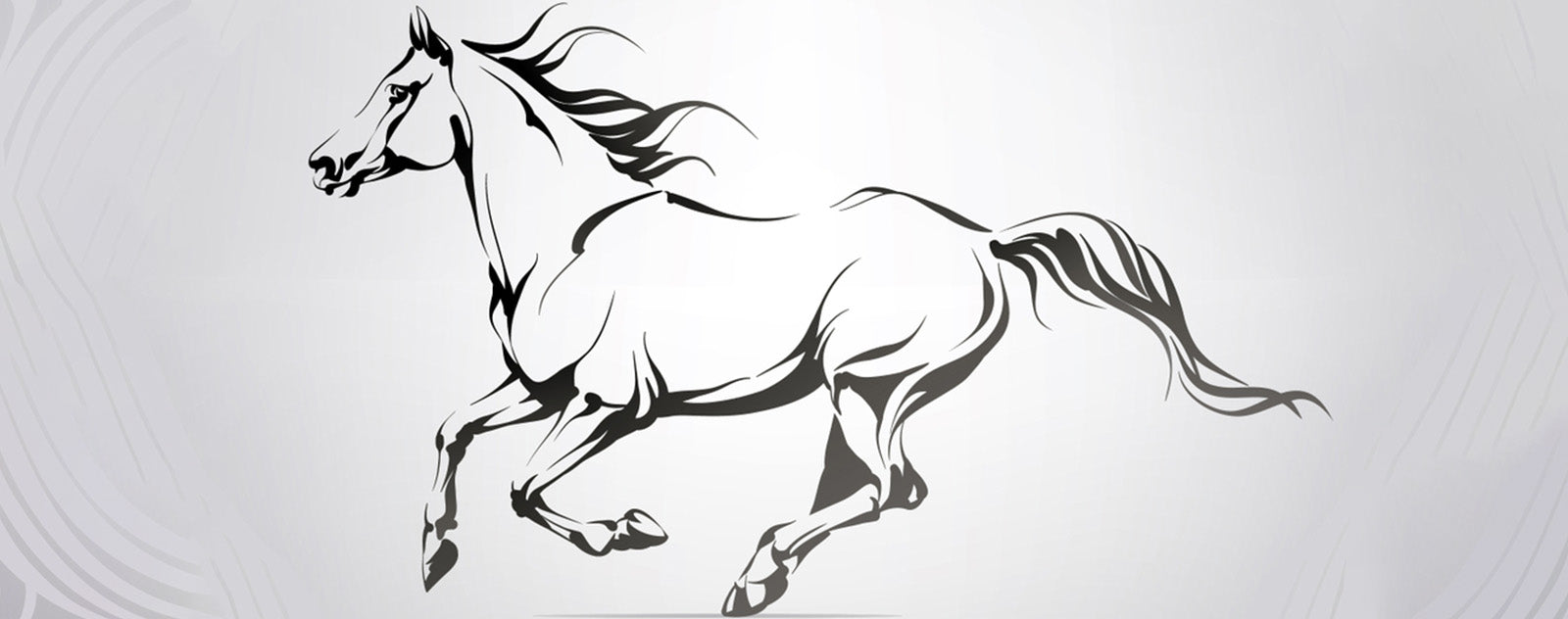 drawing-shading-horse