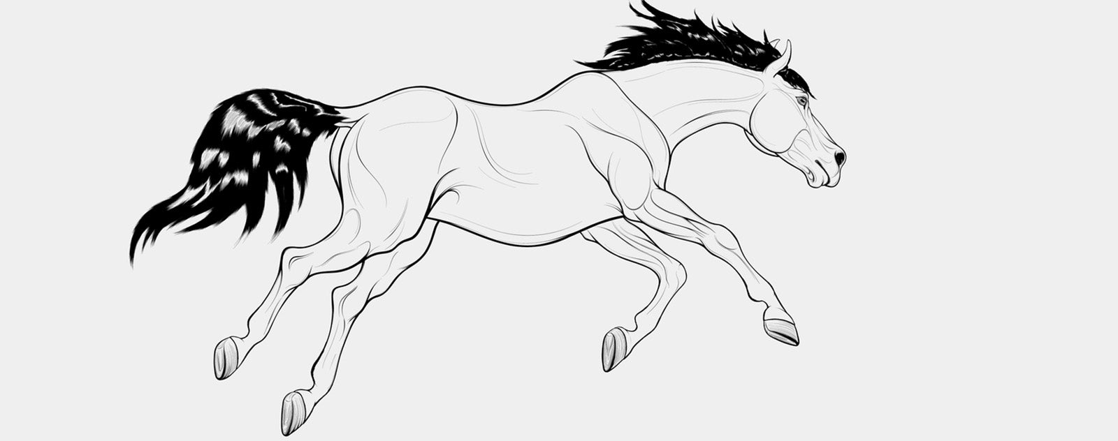 horse-drawing-tail