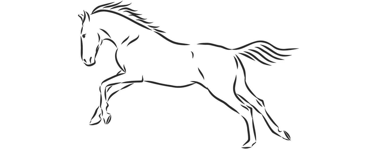 drawing-horse-black-white