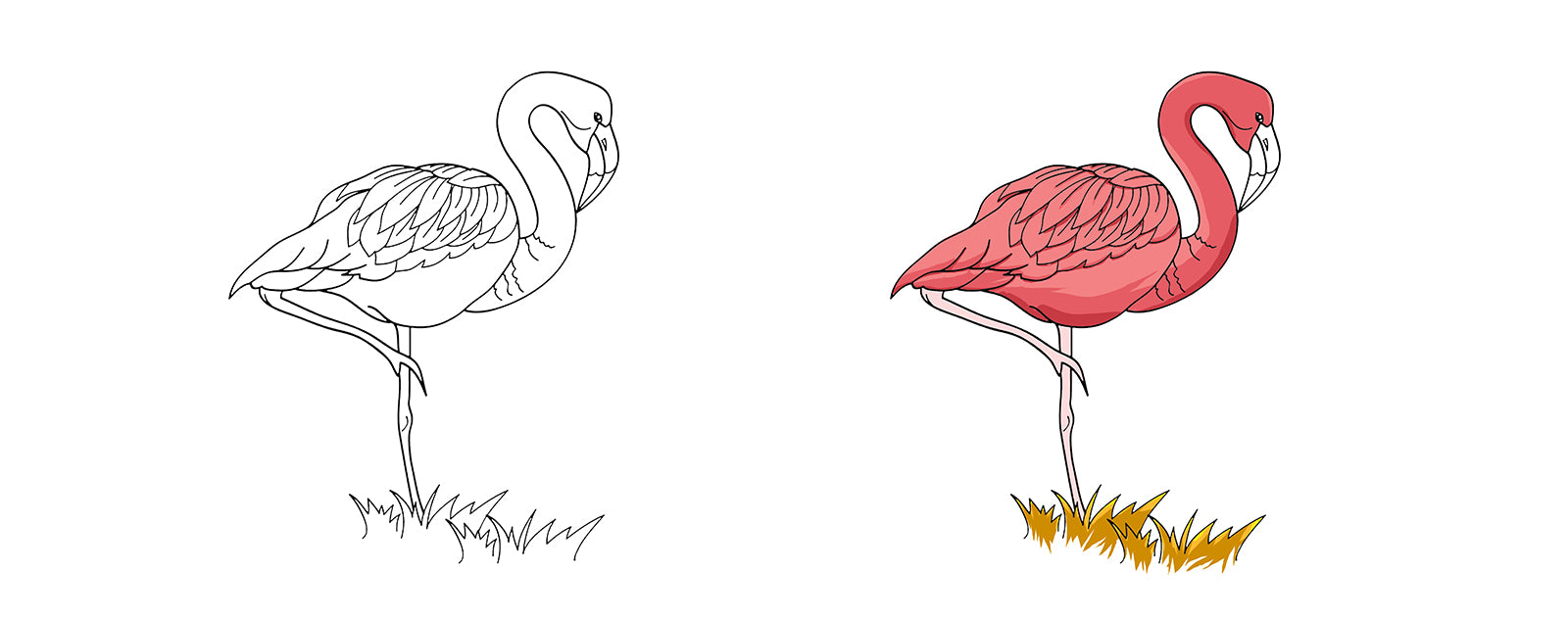 flamingo-color-drawing