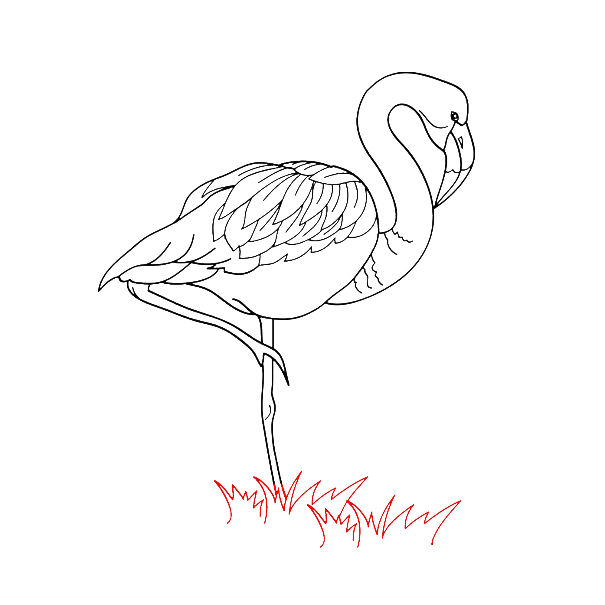 flamingo-realistic-drawing