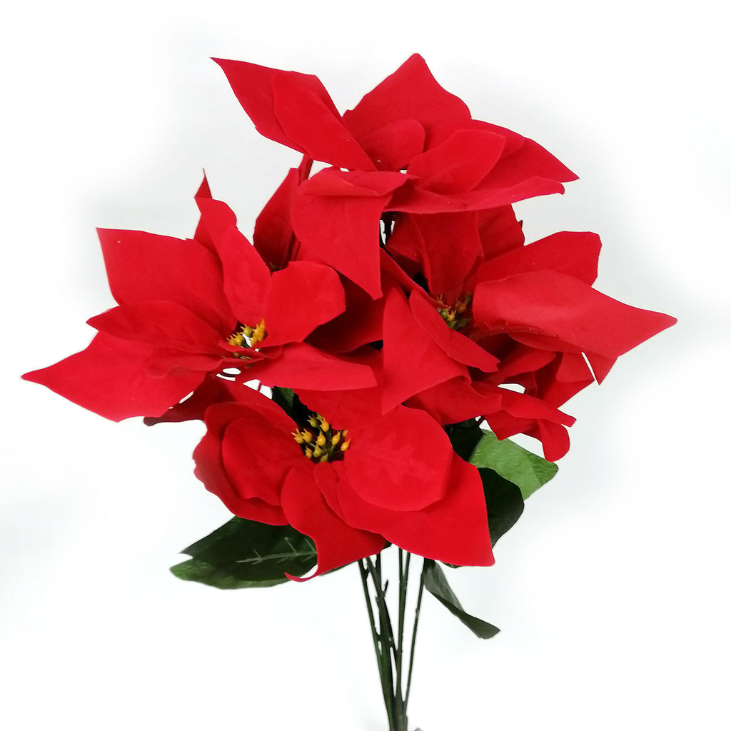 Flor Nochebuena Roja – Mercado de Importaciones