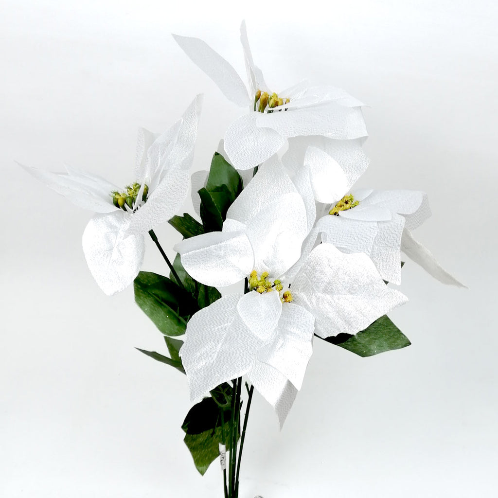 Flor Nochebuena Blanca – Mercado de Importaciones