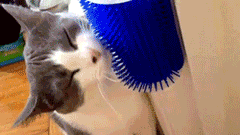 Gato usando escova massageadora removedora de pelos Cat Selfcare AUmart Brasil