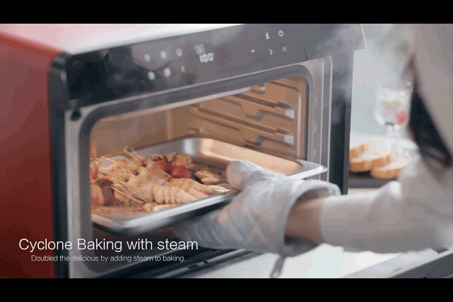Buyers' Guide: Which Type of Steam Oven Is Right for You! – ROBAM Living
