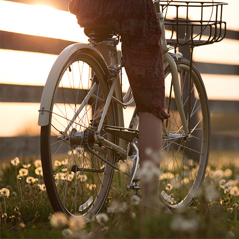 Vélo de route | Vélo Pliant | Vélo Urbain | Vélo léger | Vélo d'occasion | Vélo pas cher | Vélo abordable | VTT | Calgary | Fort Mc Murray | Edmonton | Canmore | Banff | Lethbridge | Alberta