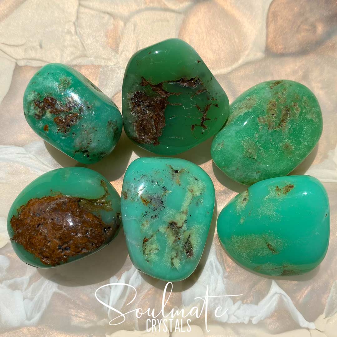 CHRYSOPRASE TUMBLED STONE LARGE - Soulmate Crystals