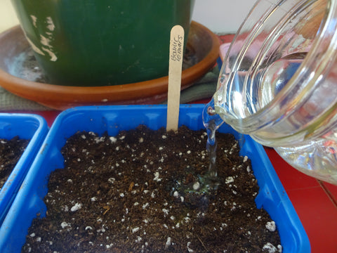 water pouring into a container of soil