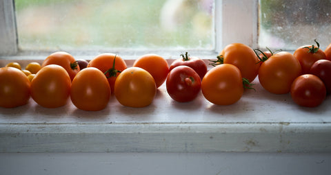 tomate mûrir trucs le jardin de julie