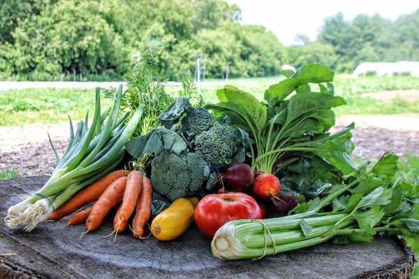 organic CSA basket vegetables