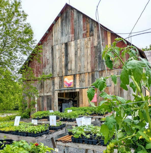 Ottawa Farm Fresh Farm Store in Ottawa