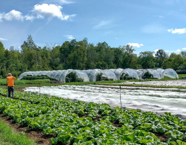 organic farm ottawa farm fresh organics