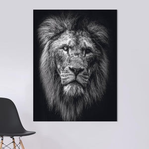 Schilderij-Dark Lion No7-PosterGuru