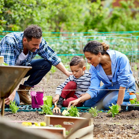 A man, woman, and boy tending to a garden