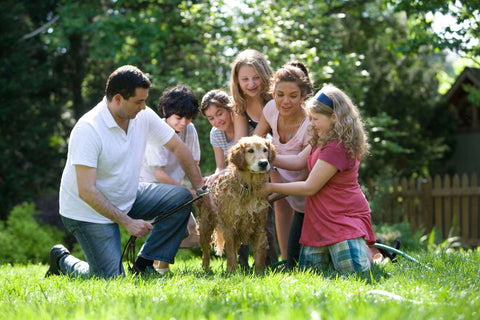 A family petting a dog outdoors