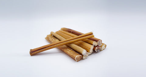 DogBullySticks-Introduction-to-Bully-Sticks