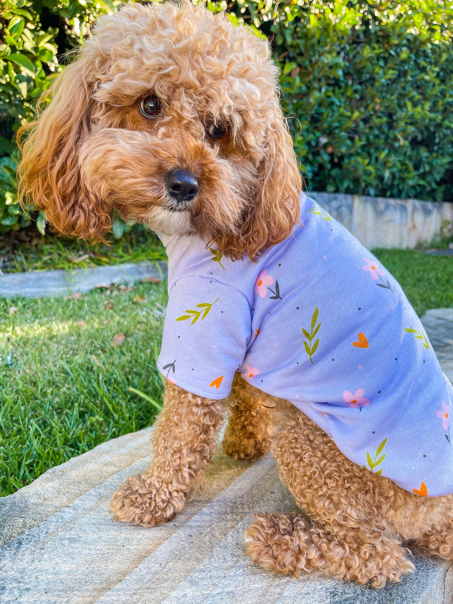 floral dog sweater