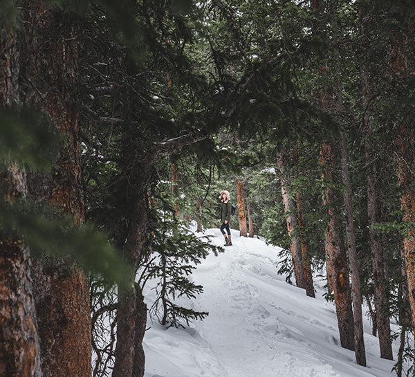 how to forest bathe