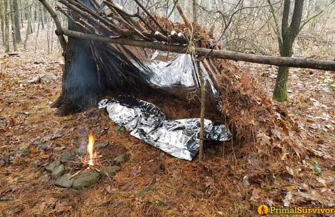 Lean-To Shelter Building: 9 Practical Techniques For Your Next Survival Shelter | THE SHED KNIVES BLOG #68