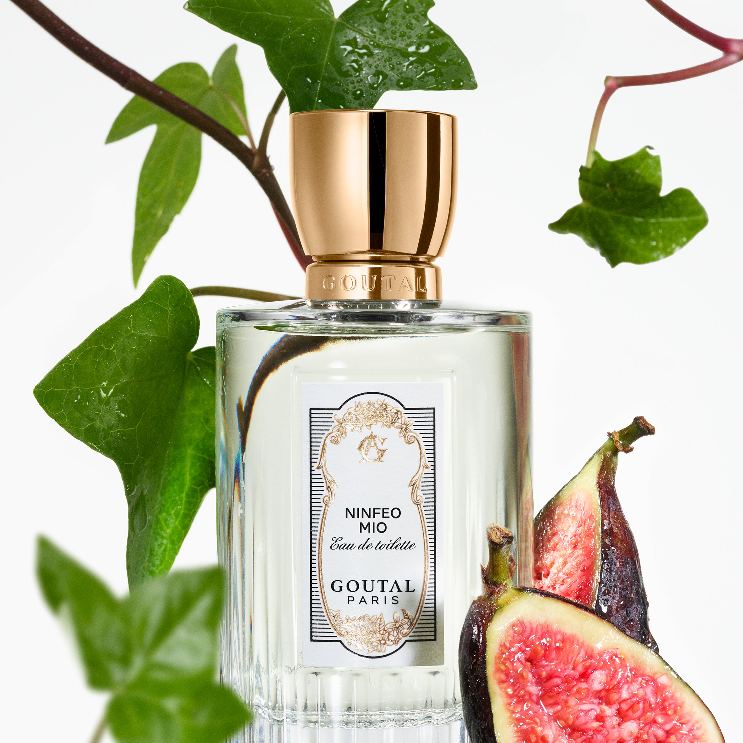 Ninfeo Mio - Goutal