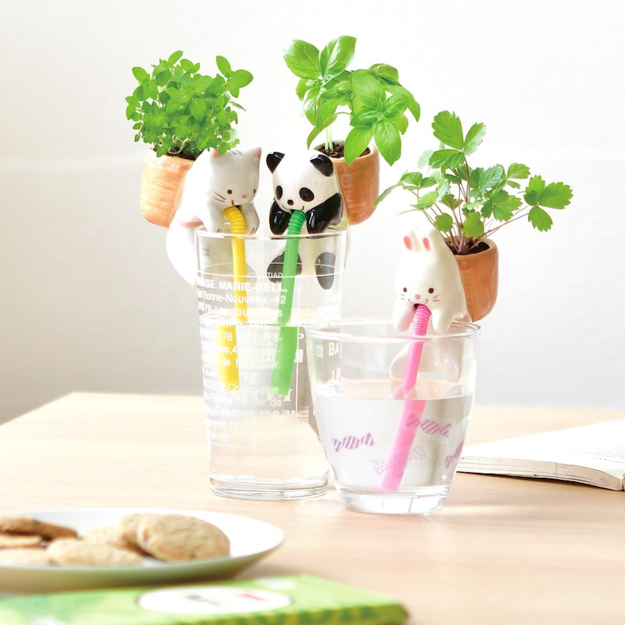 Chuppon - Super Cute Sipping Animal Planters - from Japan