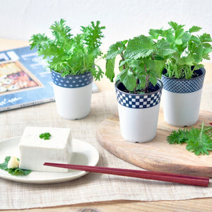 Mini Kit de Plantes à Faire Pousser Daruma / NOTED