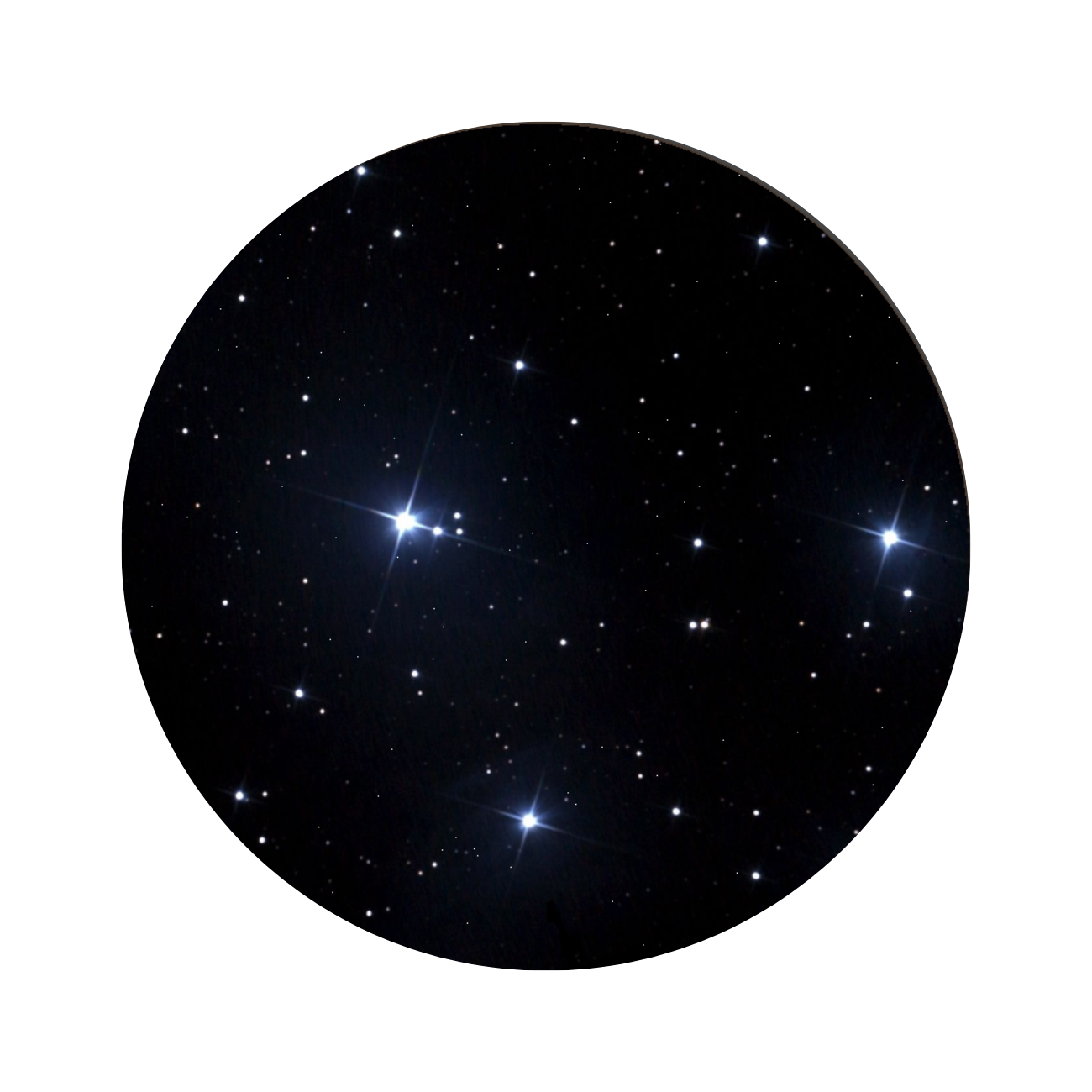 12__DOB_MATARIKI