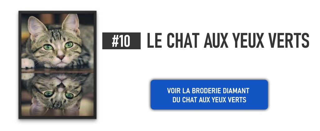 Top 10 Broderies Diamants Chats Atelier Broderie Diamant