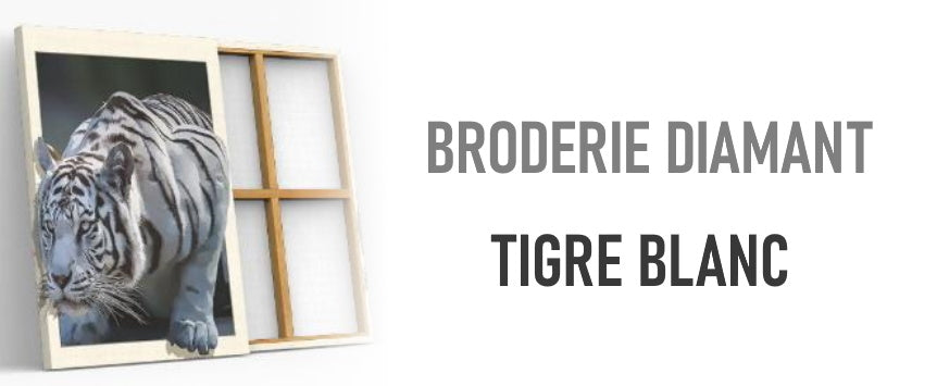 broderie diamant tigre blanc blog