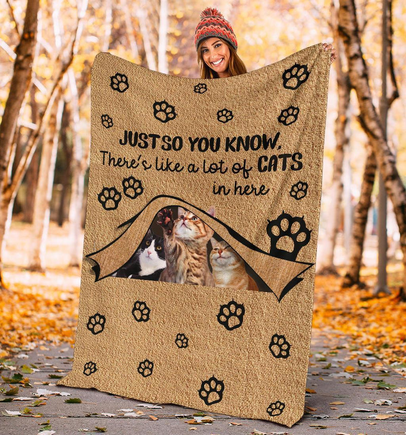 Just So You Know Cute Cat T For Cat Lovers Fleecesherpa Blanket Dreameris