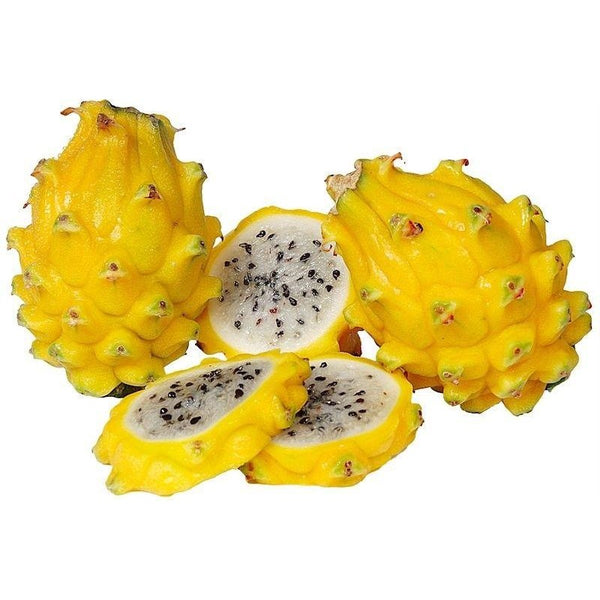 Buy Fresh Yellow Dragon Fruit Online Uk Delivery Rareexotics