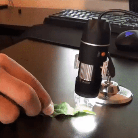 ZOOM TO ZOOM™ MICROSCOPE CAMERA (COMPUTER VERSION) – Glowpify store