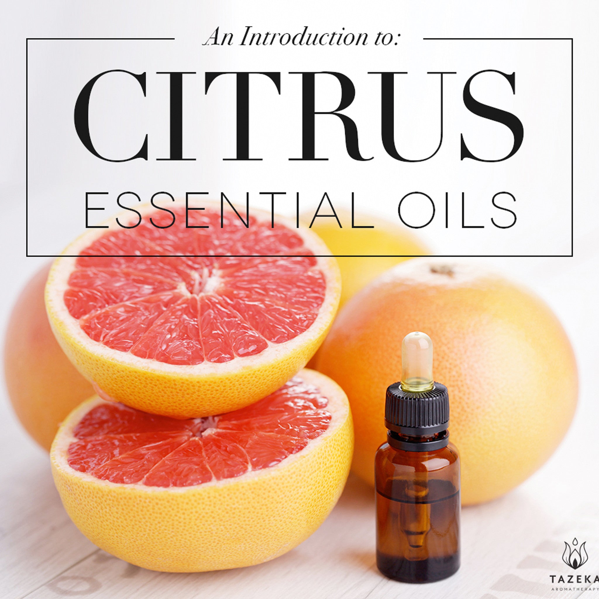 An Introduction to Citrus Essential Oils – Tazeka Aromatherapy