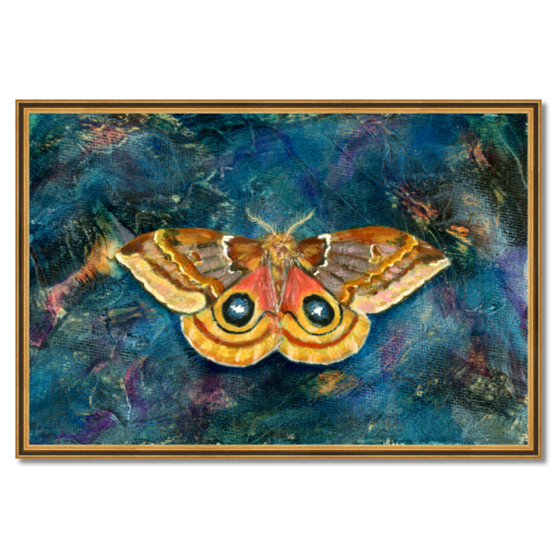 Yellow Io Moth Embellished Fine Art Print in Vintage Frame, 11x14 - The  Copper Wolf