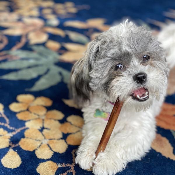 Earthly bully sticks product image