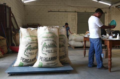 Mexico Finca Santa Isabel Coffee Farm