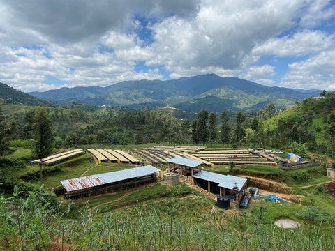 Cyato sector, Nyamasheke district, Western Province of Rwanda