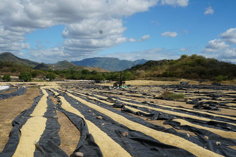 Nicaragua Segovia