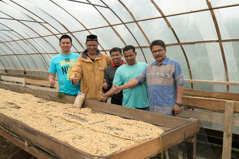 Sumatra Aceh: Gayo - Pantan Musara processing