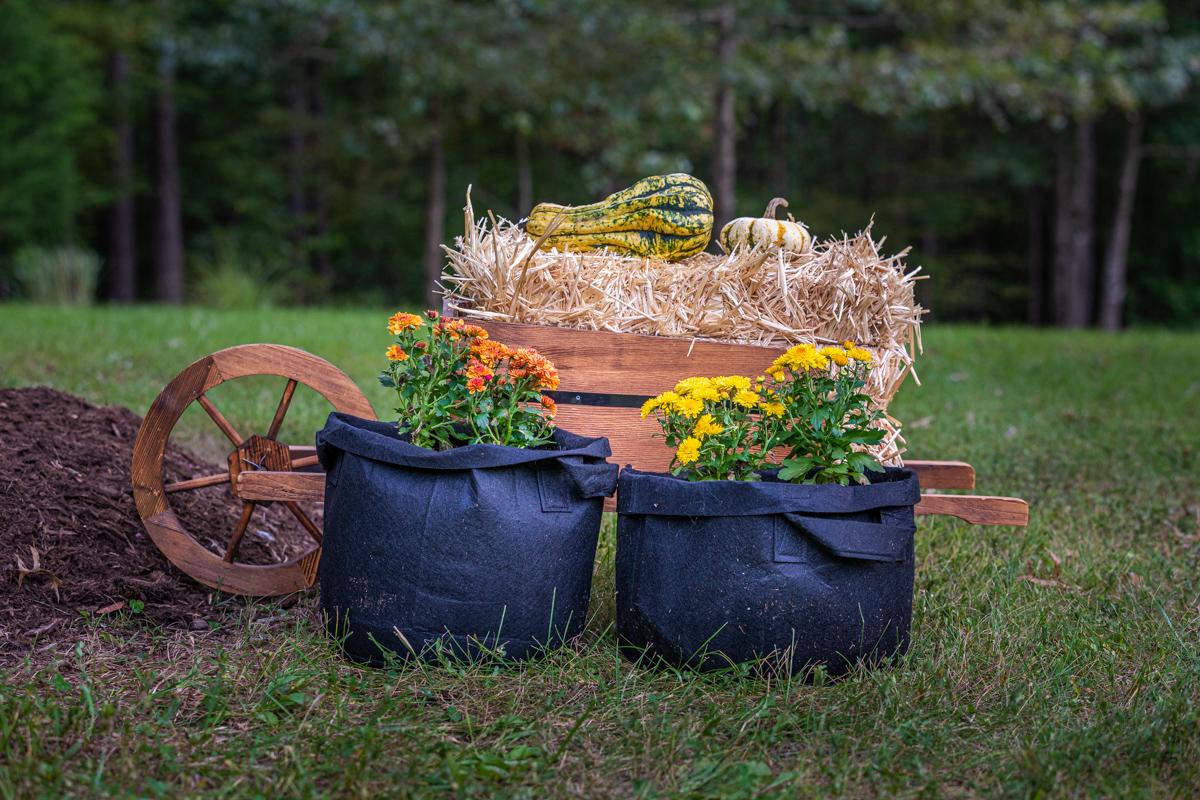 Zenpac - Extra Large Fabric Pot with Handles, Black 20 Gallon Grow Bags Portable Outdoor Vegetable Planters 5 Pack, Size: 19.5x15.5