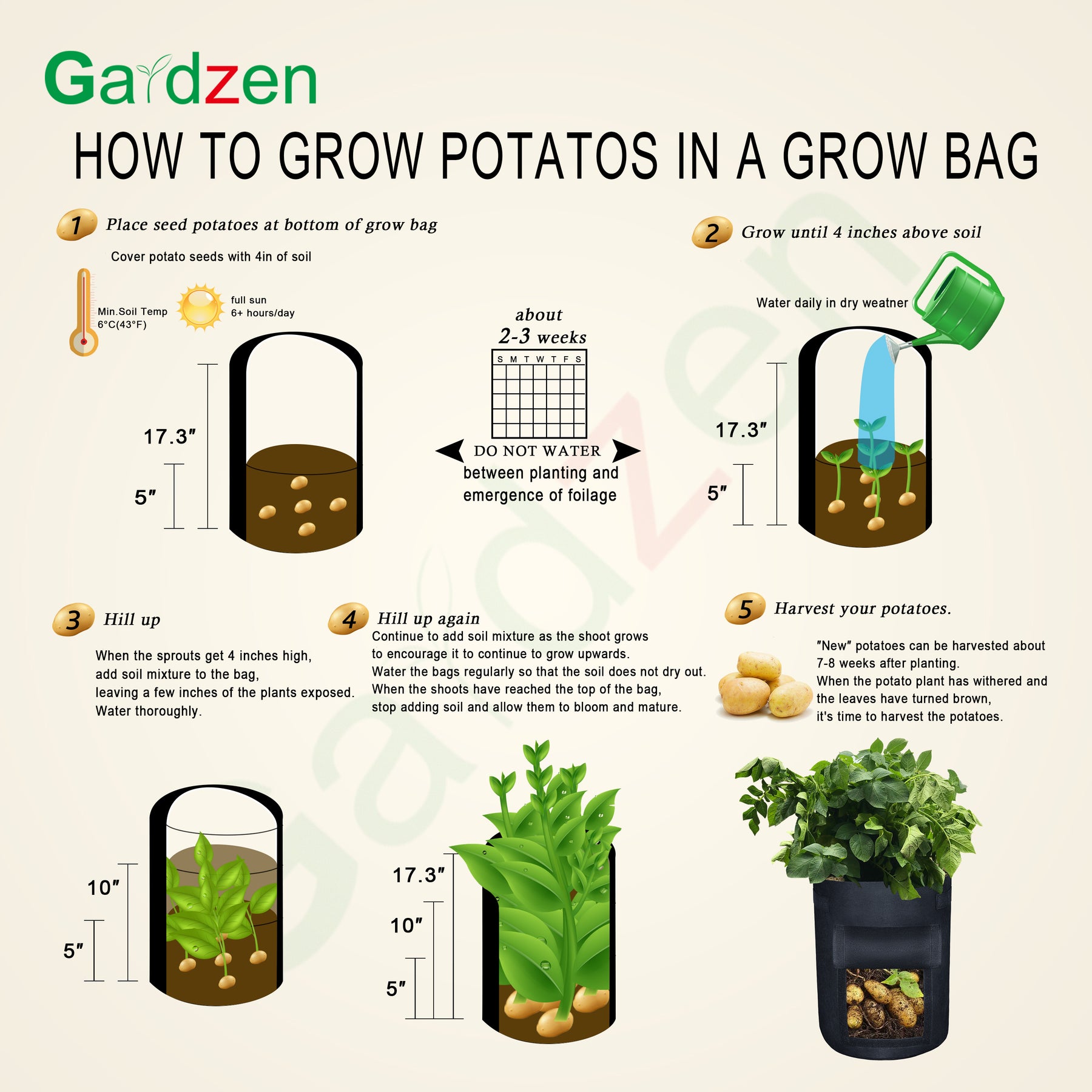 6 Tips For Gardening With Grow Bags! At