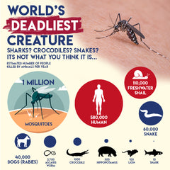 Mosquito is the deadliest insect