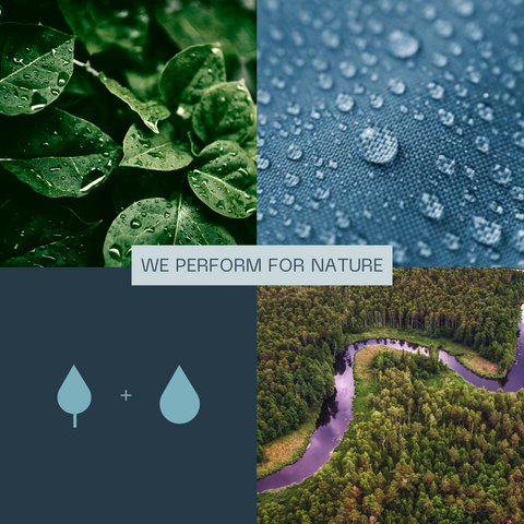 Earth and Water images that depict the inspiration for the new Zenkai Branding