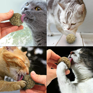 catnip ball toy