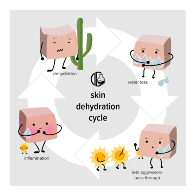 Dehydration cycle